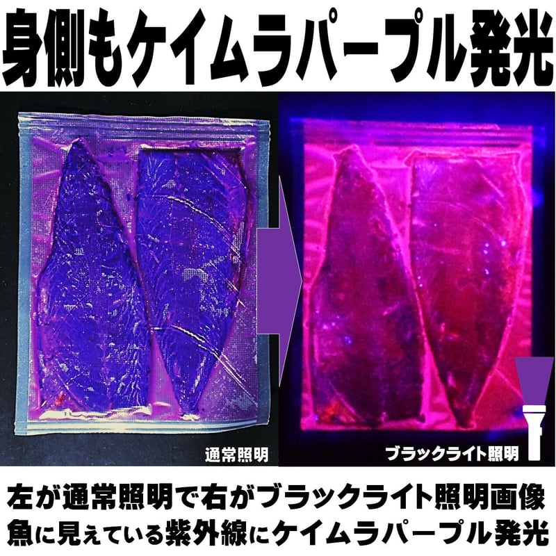 海上釣堀 エサ 釣り エサ 釣り餌 集魚剤 3種のアミノ酸配合 紫外線