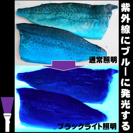集魚剤 紫外線加工液 釣り餌 用 ケイムラブルー レッド190ml ２色組 冷凍 オキアミ 冷凍イワシ エサ 海上釣堀 エサ アミエビ 釣りエサ サンマ キビナゴ  餌 カツオのハラモ 冷凍サンマ