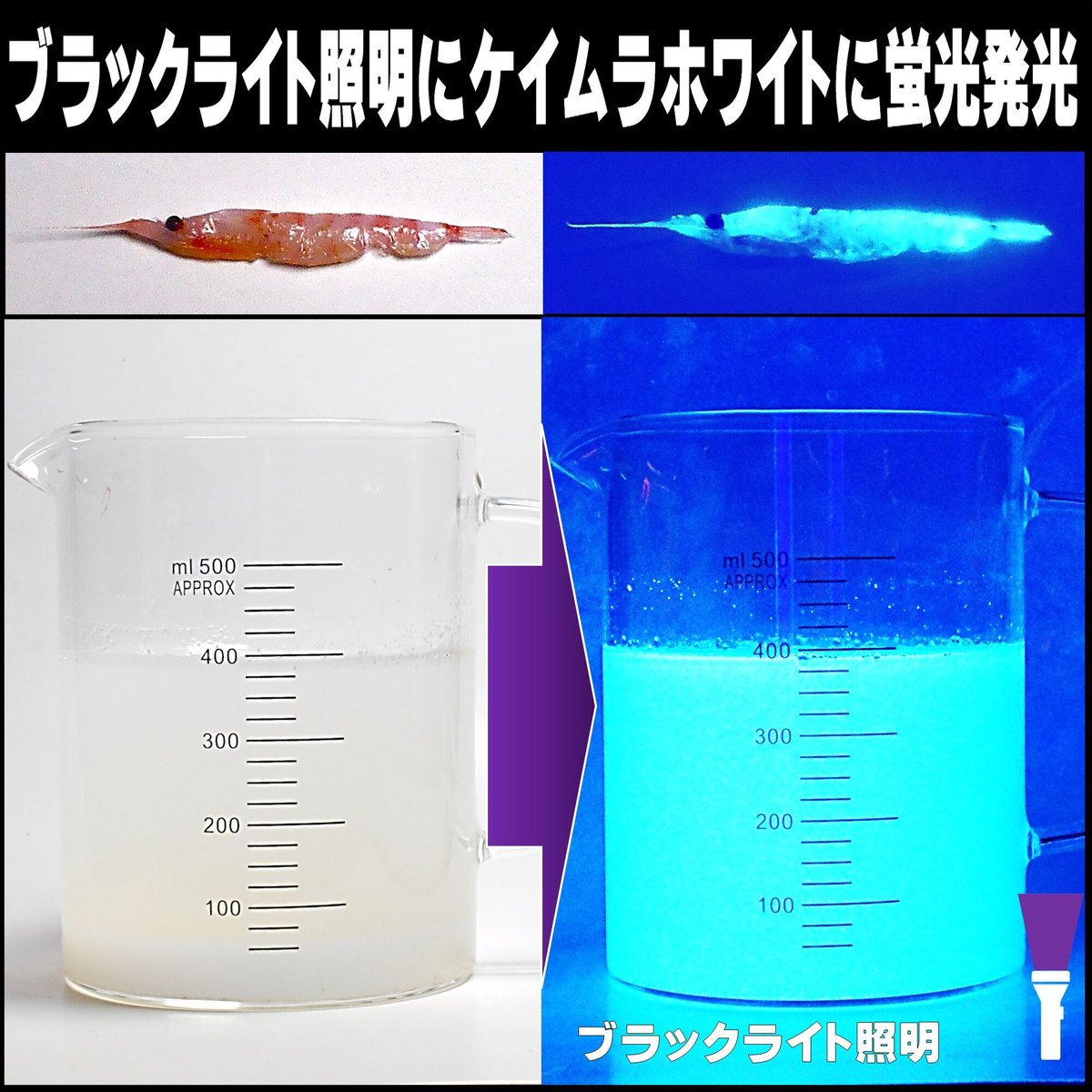 オキアミ 集魚剤 釣り餌 釣りエサ 刺し餌用 アミノ酸 旨味甘味成分 アラニン 激臭 にんにく...