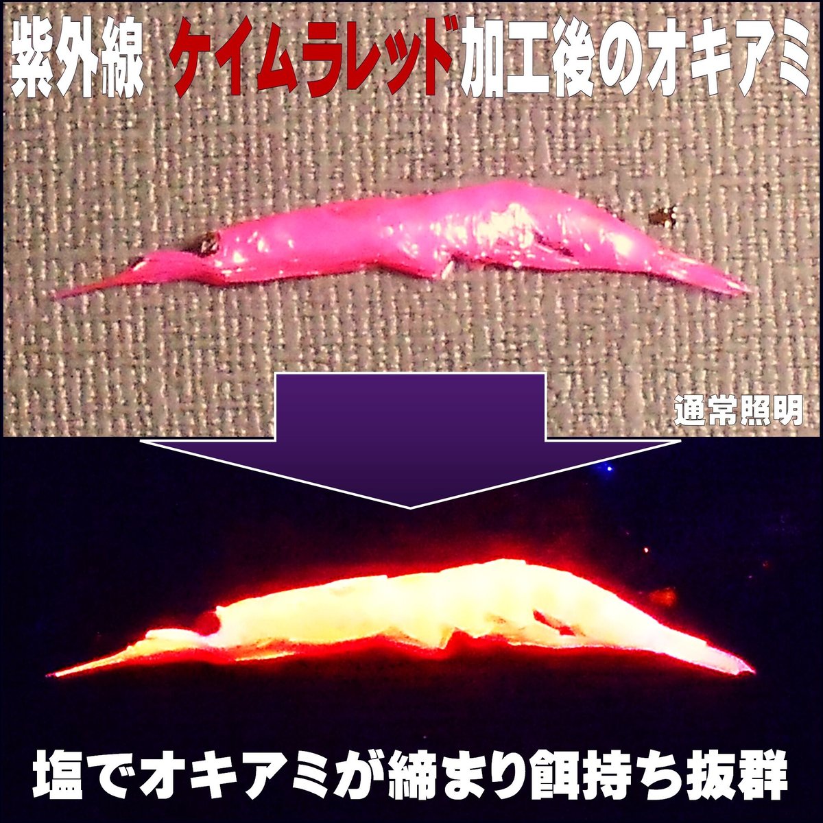 オキアミ 集魚剤 釣り餌 釣りエサ 刺し餌用 アミノ酸 旨味甘味成分 アラニン 激臭 にんに...