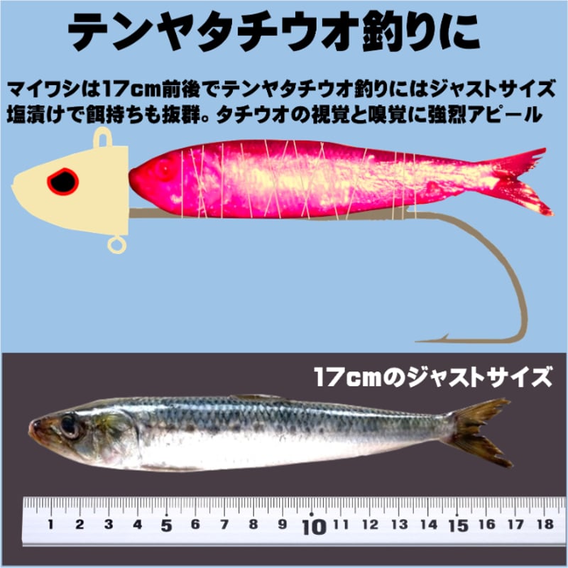 テンヤタチウオ 餌 テンヤ太刀魚 仕掛け 激臭にんにく アミノ酸配合