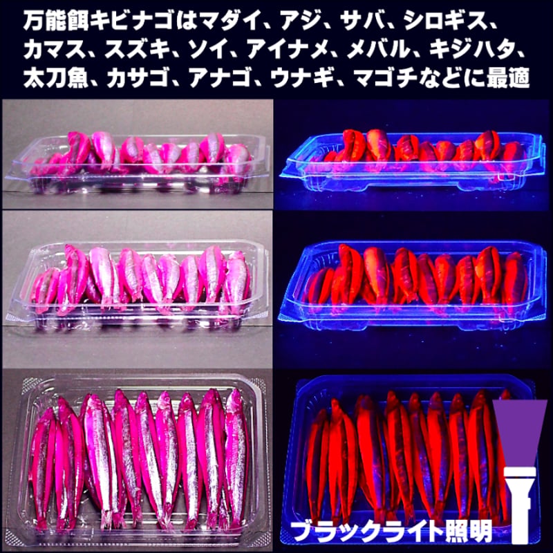 釣り餌 キビナゴ 餌 アミノ酸アラニン・激臭にんにく・甘味料水飴配合