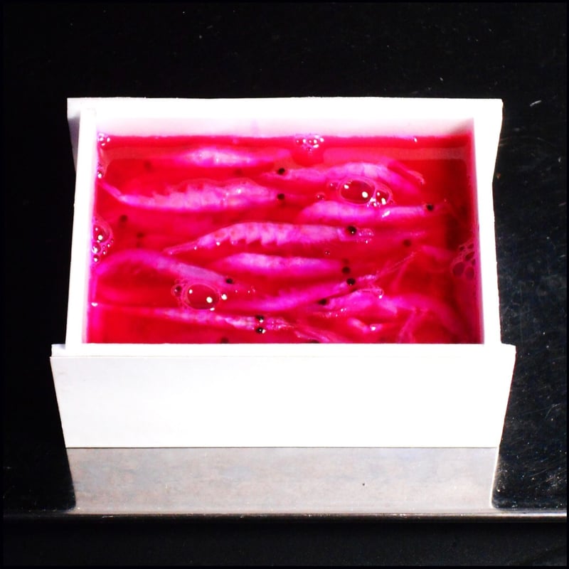 紫外線加工液 集魚剤 釣り餌 用 ケイムラレッド 80ml3本組 オキアミに