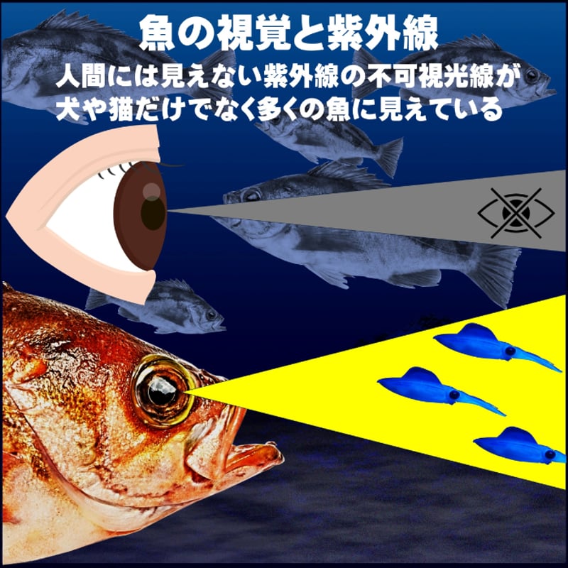 沖メバル 仕掛け ハチメ 仕掛け レインボー夜光ウロコ 鳥毛 擬餌針