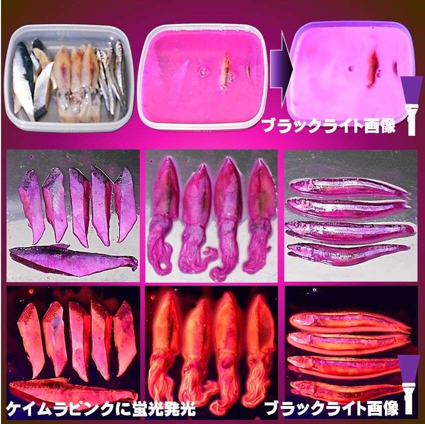 【ムラケイ】「送料無料」エリプス ５０粒入ボトル １２本セット！ 5mg THC Beverage Variety Pack – Upstate Elevator