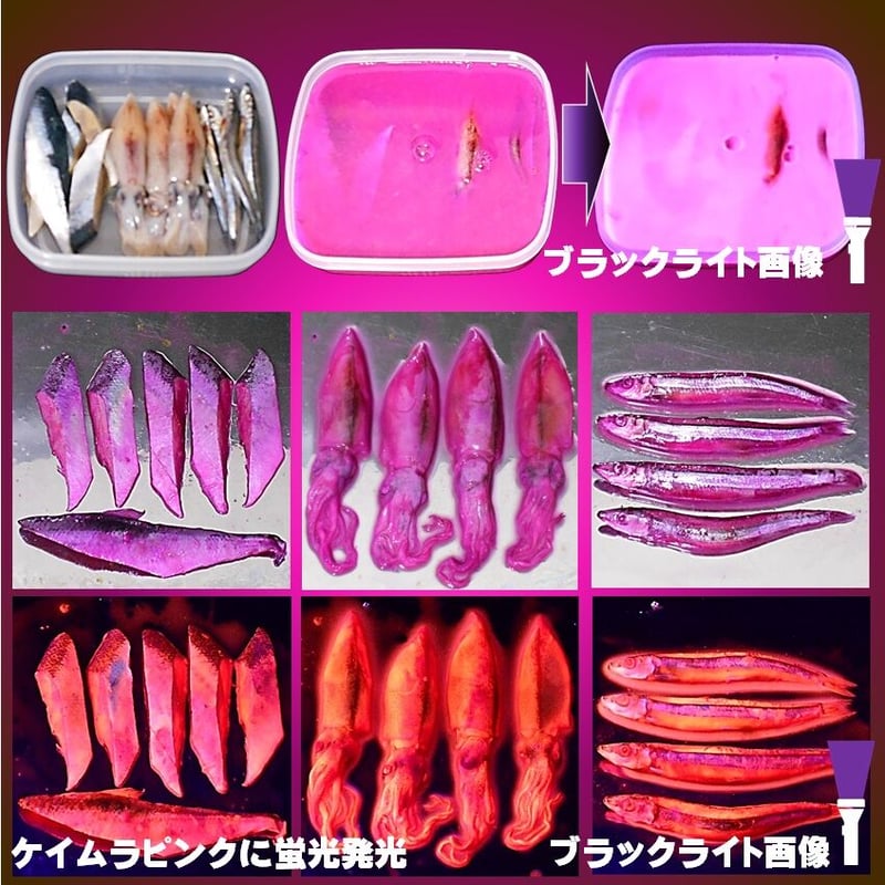 紫外線加工液 集魚剤 釣り餌 用 ケイムラピンク ブルー レッド80ml3色