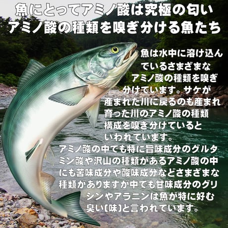 イカタン イカ短冊 つりエサ用 アミノ酸アラニン・激臭ニンニク・水飴配合 紫外線 蛍光発光 ケイムラピンク イカタン 塩漬け 6mm立方体 100個８mm立方体 50個入り 全国一律 送料300円