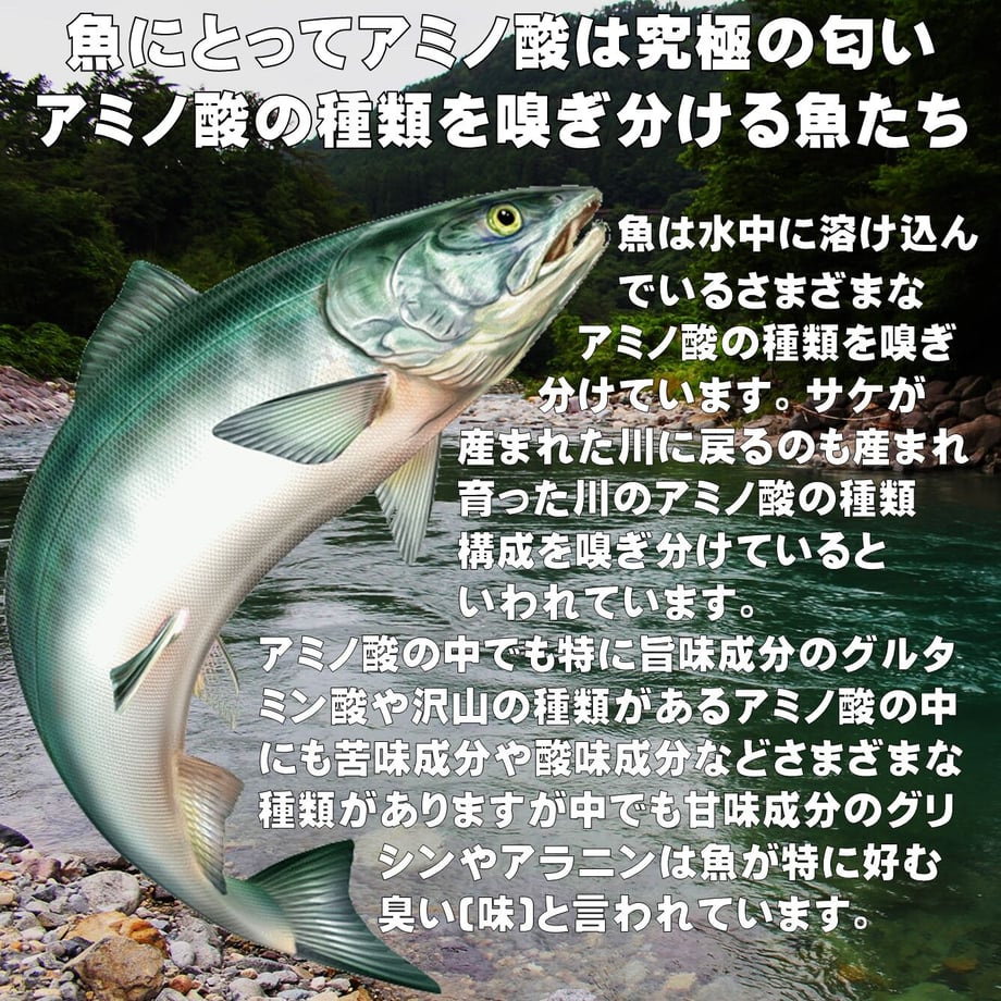 6513d4f8a2eab2002dcedea4