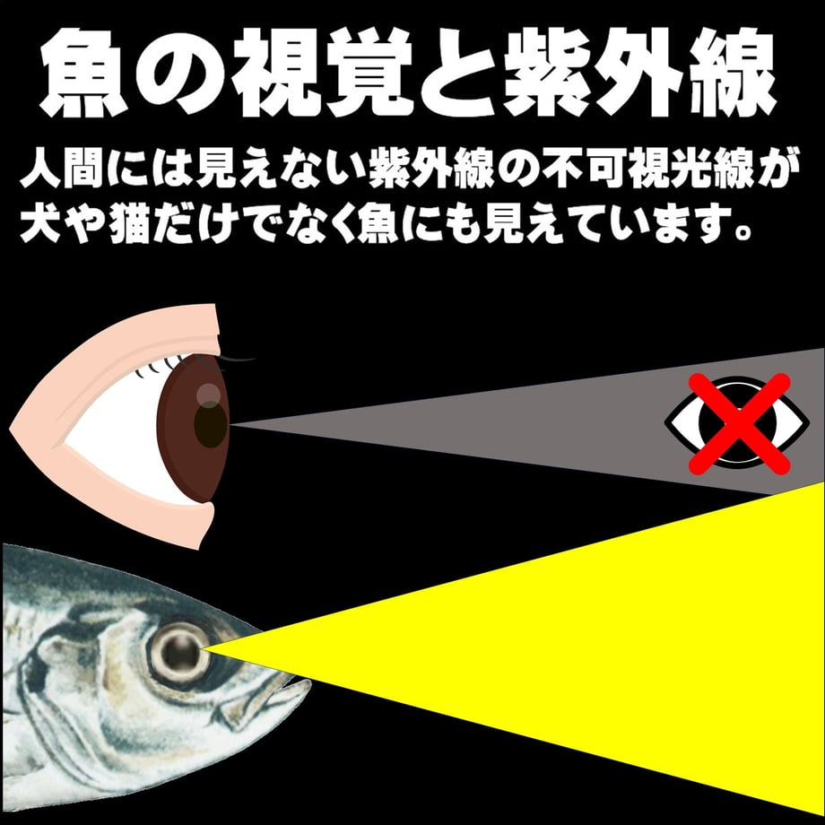 6513d4f8a2eab2002dcedea4