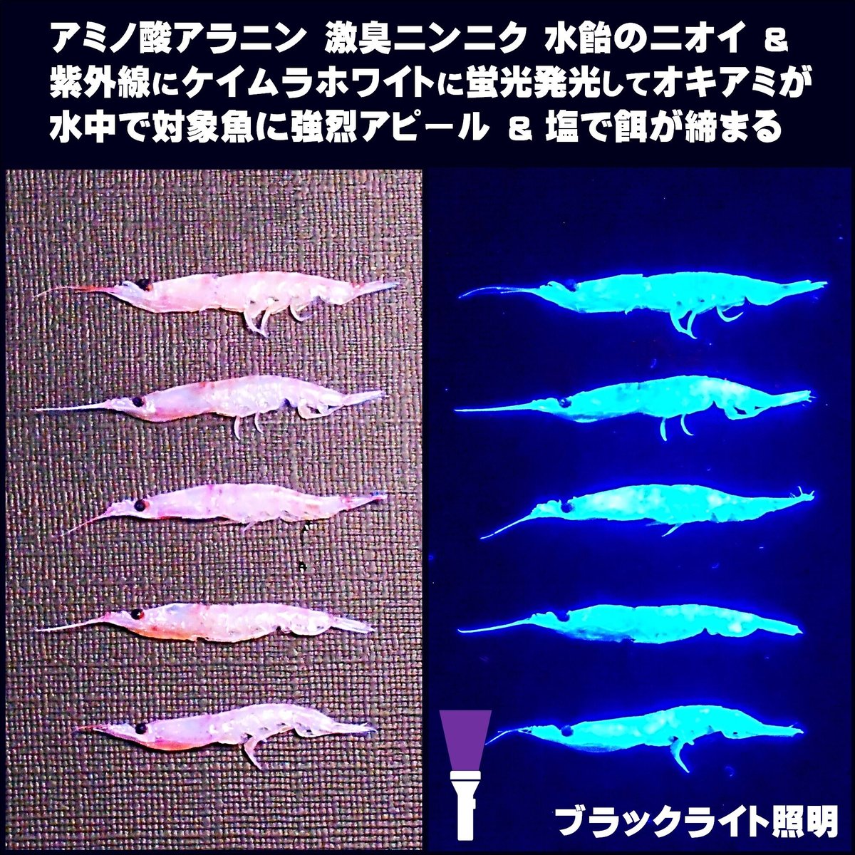 オキアミ 集魚剤 釣り餌 釣りエサ 刺し餌用 アミノ酸 旨味甘味成分 アラニン 激臭 にんにく...