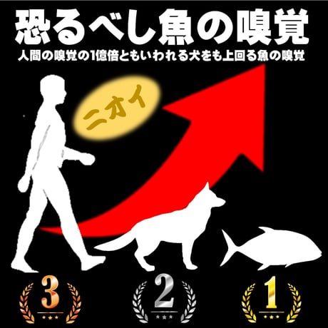 イカタン イカ短冊 つりエサ用 アミノ酸アラニン・激臭ニンニク・水飴配合 紫外線 蛍光発光 ケイムラピンク イカタン 塩漬け 6mm立方体 100個８mm立方体 50個入り 全国一律 送料300円