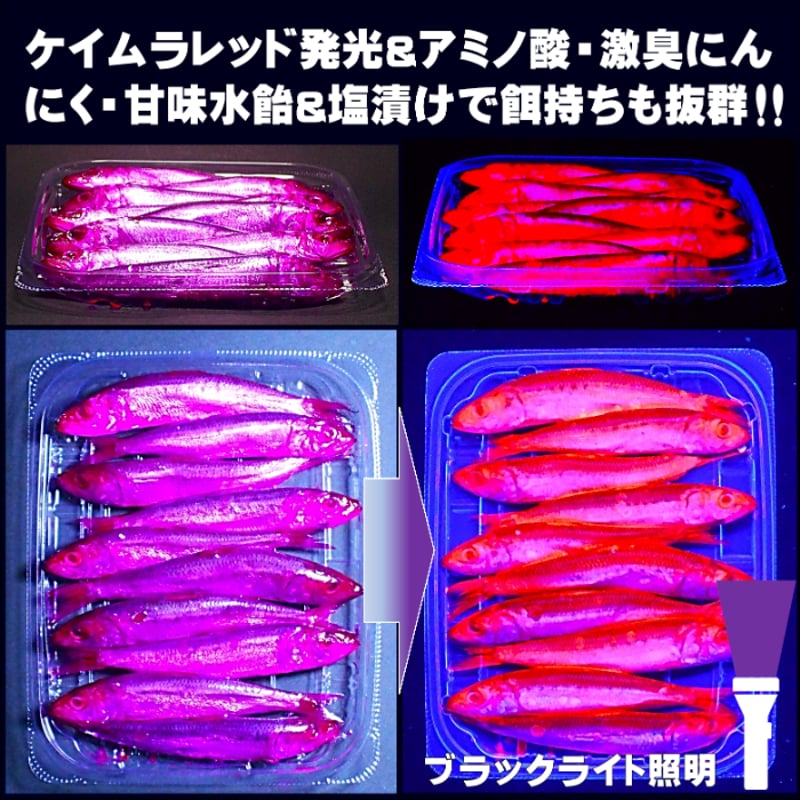 テンヤタチウオ 餌 テンヤ太刀魚 仕掛け 激臭にんにく アミノ酸配合