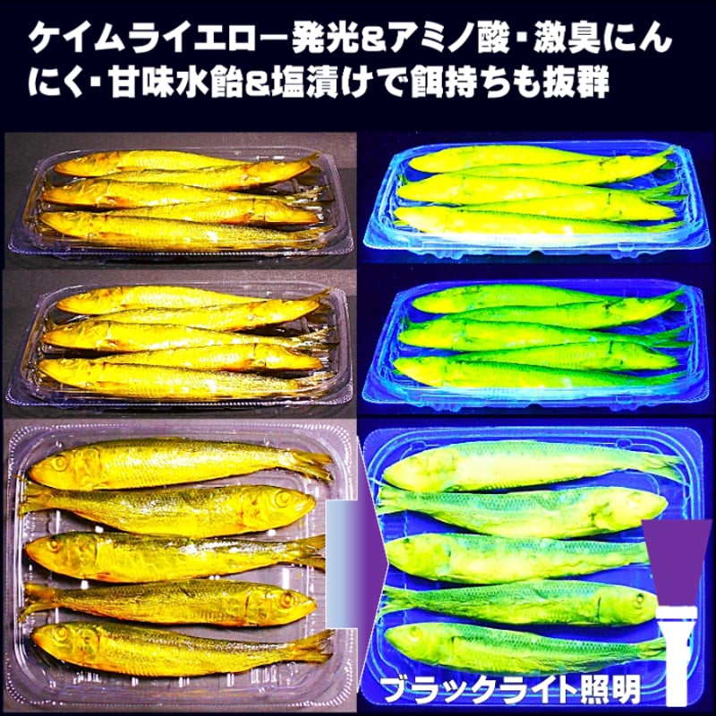 テンヤタチウオ 餌 テンヤ太刀魚 仕掛け 激臭にんにく アミノ酸配合