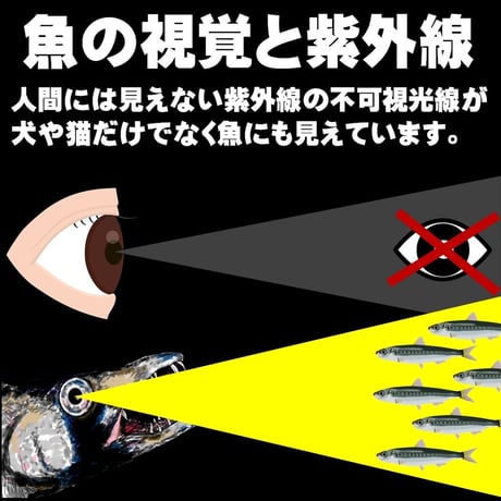 集魚剤 紫外線加工液 釣り餌 用 ケイムラブルー レッド190ml ２色組 冷凍 オキアミ 冷凍イワシ エサ 海上釣堀 エサ アミエビ 釣りエサ サンマ キビナゴ  餌 カツオのハラモ 冷凍サンマ