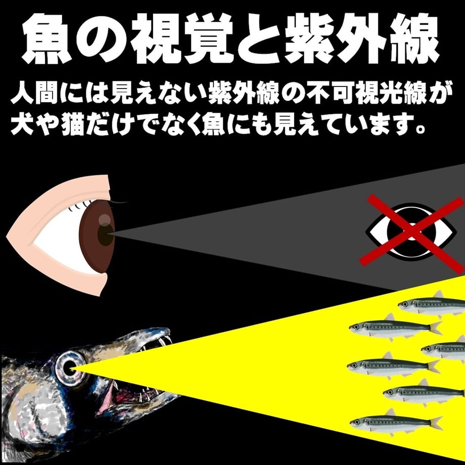 600cbcb0c19c455f129be889
