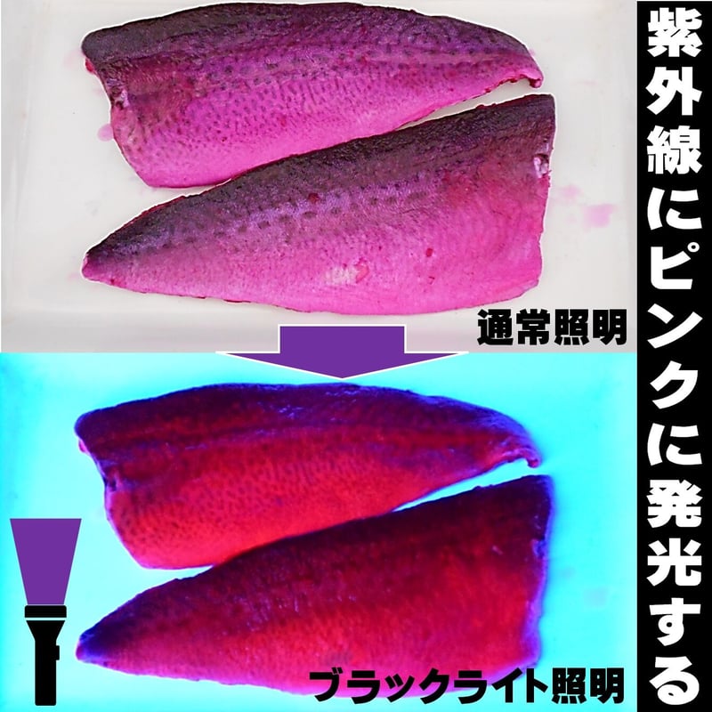 集魚剤 紫外線加工液 釣り餌 用 ケイムラブルー ピンク190ml2色組