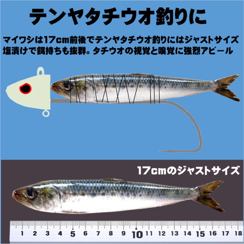 テンヤタチウオ 餌 テンヤ太刀魚 仕掛け 激臭にんにく アミノ酸配合