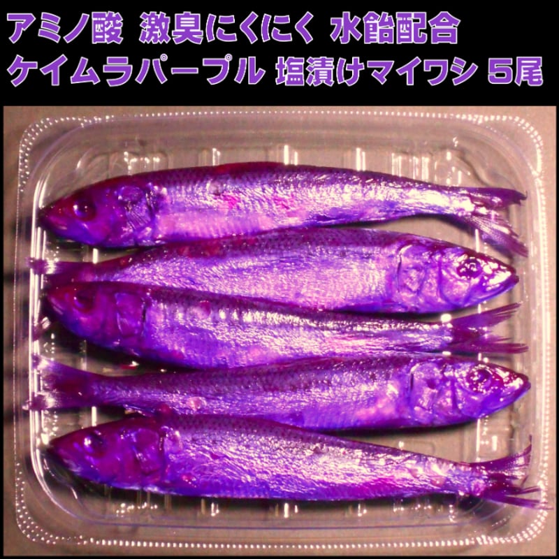 テンヤタチウオ 餌 テンヤ太刀魚 仕掛け 激臭にんにく アミノ酸配合