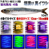 テンヤタチウオ 餌 テンヤ太刀魚 仕掛け 激臭にんにく アミノ酸配合 紫外線蛍光発光 ケイムラ４色 塩締め マイワシ 10cm～15cm前後 SSサイズ 10尾入 テンヤタチウオ
