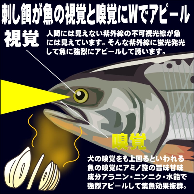 秋鮭 仕掛け 秋鮭 餌 刺し餌 アミノ酸甘味成分アラニン・激臭ニンニク
