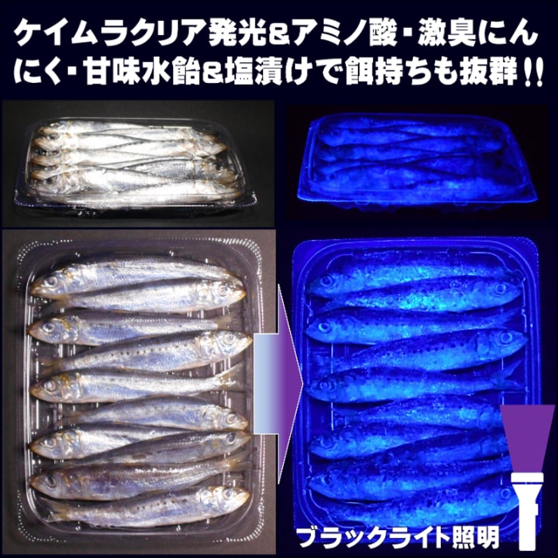 テンヤタチウオ 餌 テンヤ太刀魚 仕掛け 激臭にんにく アミノ酸配合