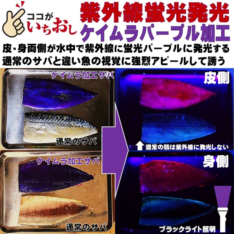 魚介類(加工食品) Purple 集魚剤 紫外線加工液 釣り餌 用 ケイムラパープル 190ml 2本組 冷凍