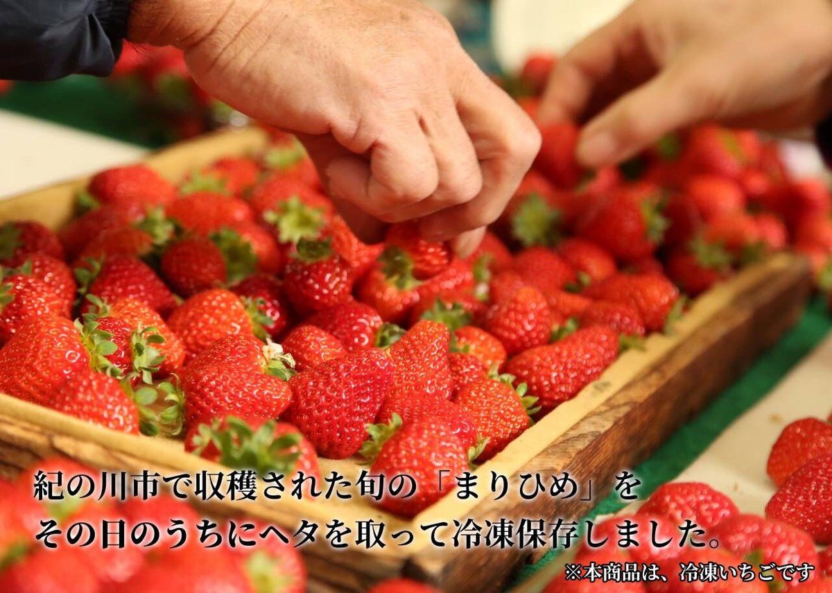 冷凍いちご 1kg | 紀のファーム