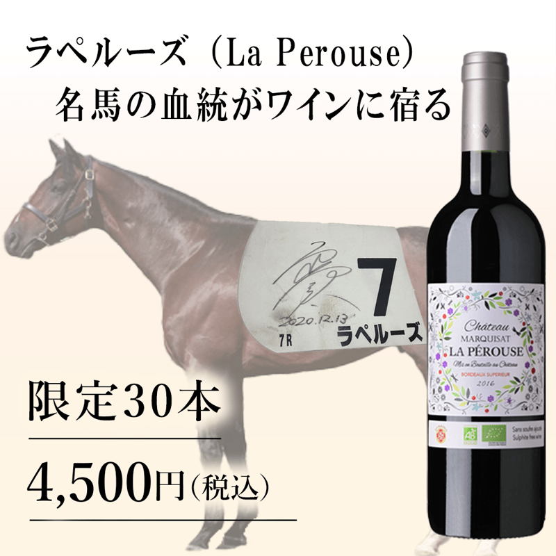 【希少コレクターズアイテム】サンテステフ メドック グラン・クリュ・クラッセ 希少コレクターズアイテム】サンテステフ メドック グラン・クリュ