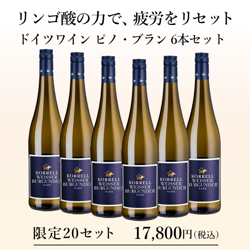 リンゴ酸の力で、疲労をリセット。ドイツワイン ピノ・ブラン 6本