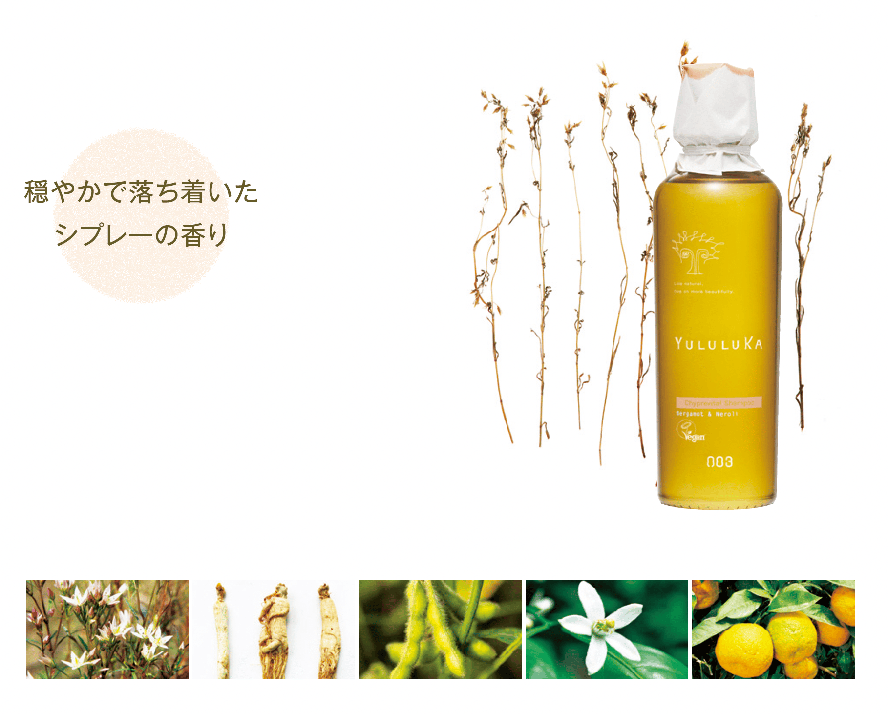 ユルルカ シプレーヴァイタル シャンプー 詰替用500ml | 美容室hair K