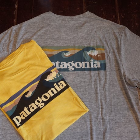 Patagonia  Cap, Cool Daily Graphic Shirts - Waters