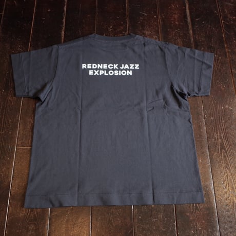 NECESSARY OR UNNECESSARY  BUDDY EMMONS T