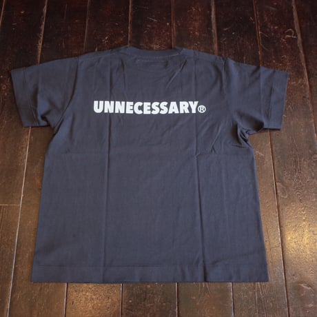NECESSARY or UNNECESSARY  NOUN T