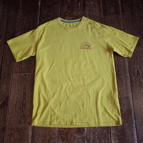 Patagonia  M’S AQUATIC ACTION ORGANIC T-SHIRT