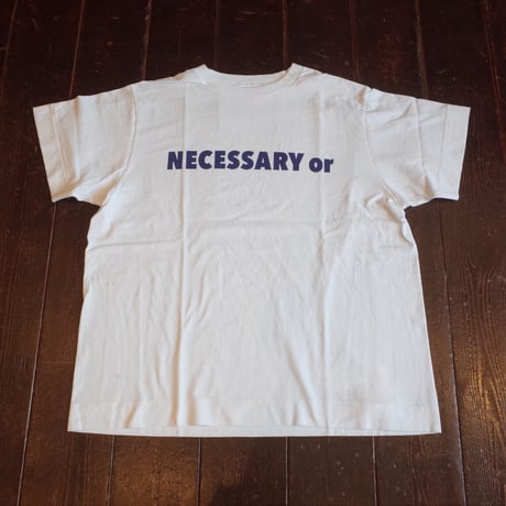 NECESSARY or UNNECESSARY  NOUN T