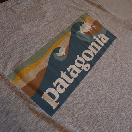 Patagonia  Cap, Cool Daily Graphic Shirts - Waters