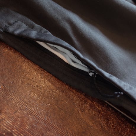 Patagonia  Men's Twill Traveler Pants