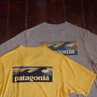 Patagonia  Cap, Cool Daily Graphic Shirts - Waters