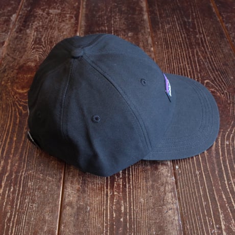 Patagonia   P-6 LABEL TRAD CAP