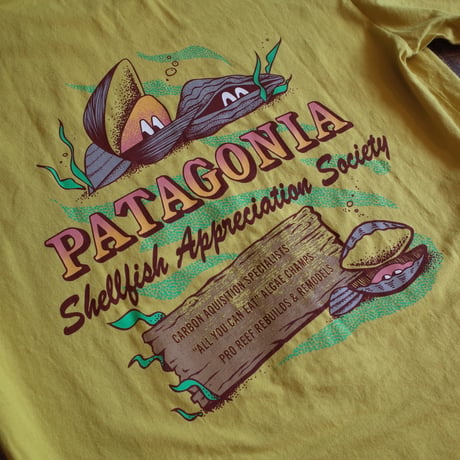 Patagonia  M’S AQUATIC ACTION ORGANIC T-SHIRT