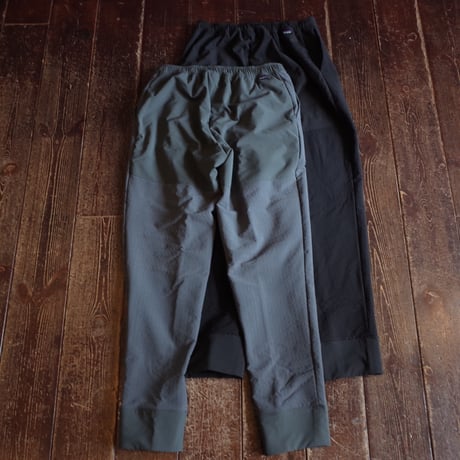 Patagonia  R2 Tech Face Pants