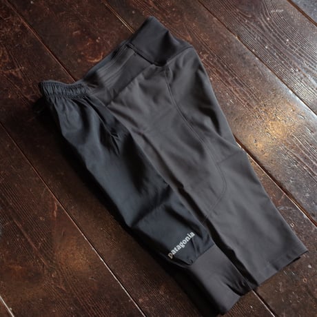 Patagonia  Endless Run shorts