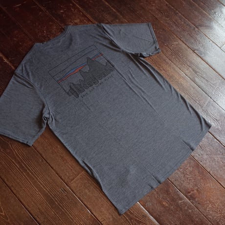 Patagonia  Cap, Cool Daily Graphic Shirts