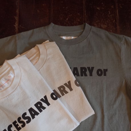 NECESSARY OR UNNECESSARY  NOUN T