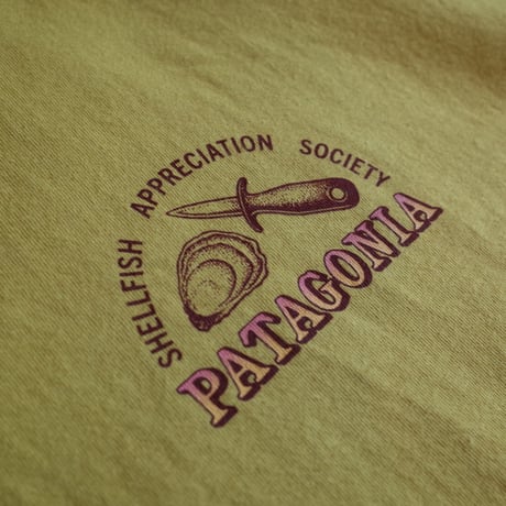 Patagonia  M’S AQUATIC ACTION ORGANIC T-SHIRT