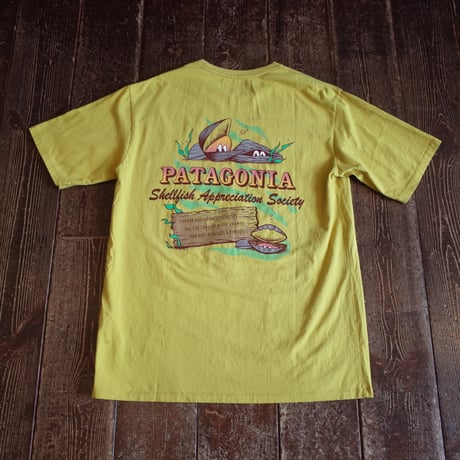 Patagonia  M’S AQUATIC ACTION ORGANIC T-SHIRT