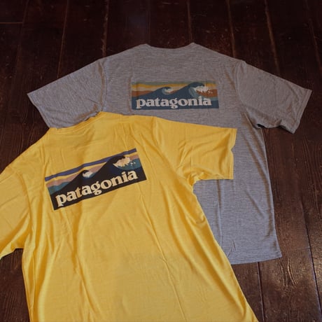 Patagonia  Cap, Cool Daily Graphic Shirts - Waters