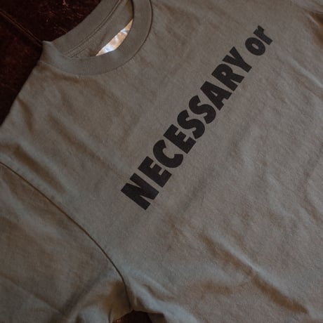 NECESSARY OR UNNECESSARY  NOUN T