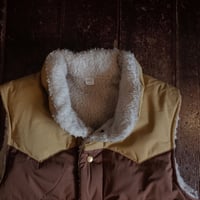 PATAGONIA  M'S REVERSIBLE BIVY DOWN VEST