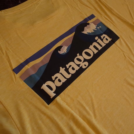 Patagonia  Cap, Cool Daily Graphic Shirts - Waters
